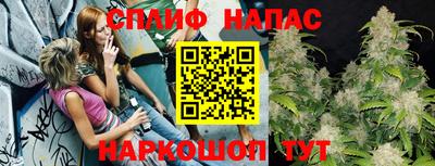 меф Краснознаменск